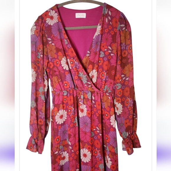 Pink Lily Women's Floral Rose Maxi Dress Cottagecore Soft Girl Balletcore Small - Picture 3 of 10